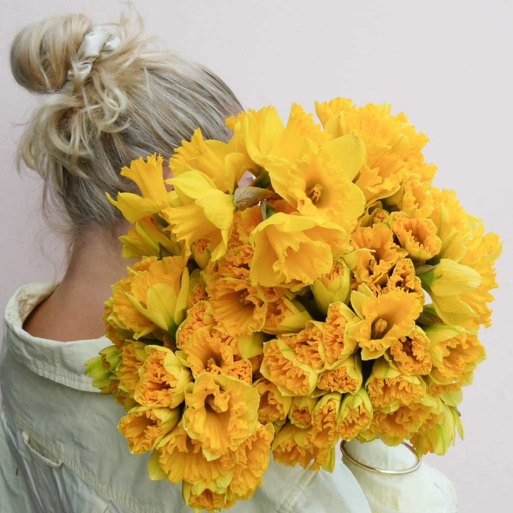 Daffodil Day 20th August