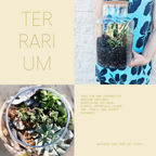 Terrarium Workshop 4th July