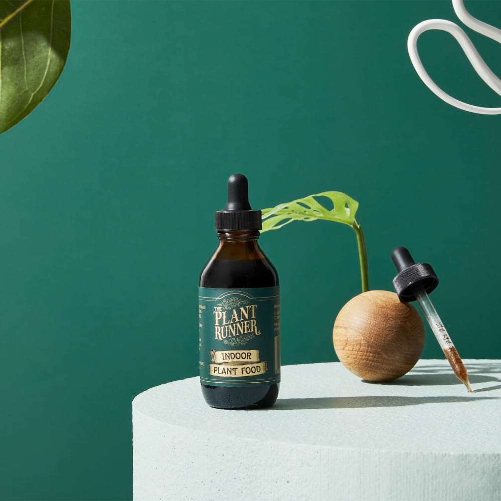 The Plant Runner - Indoor Plant Food