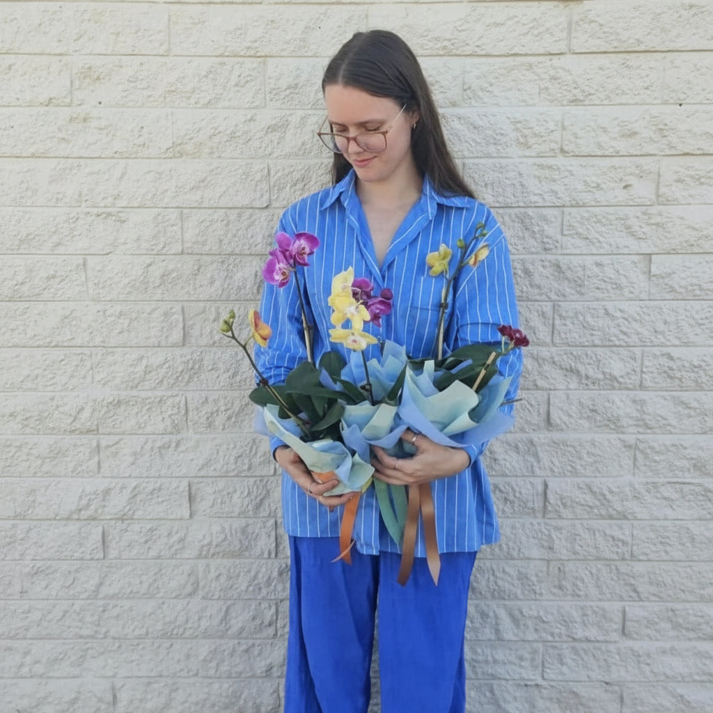 Mini Wrapped Potted Orchid