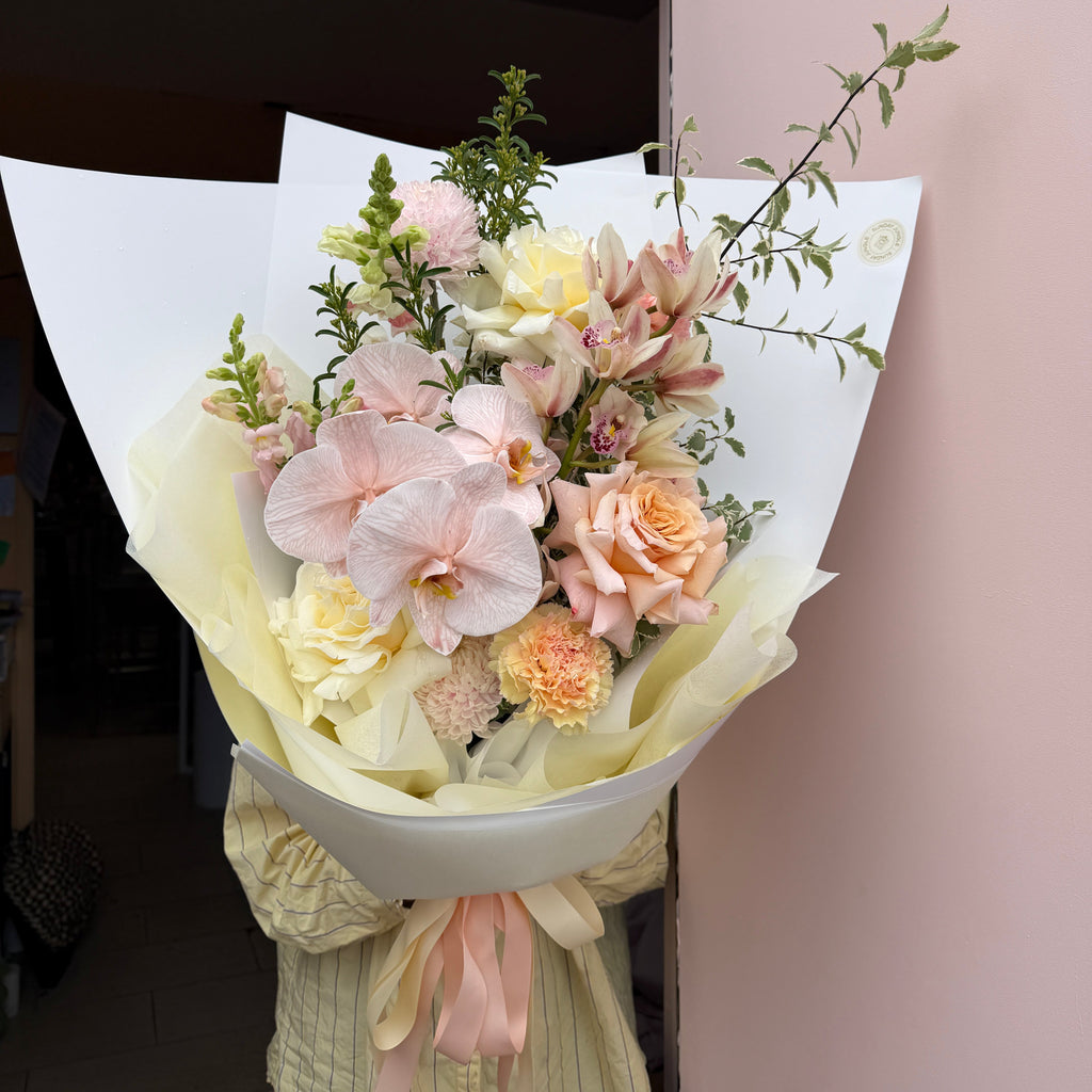 Pastel Dreams