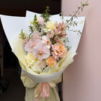 Pastel Dreams