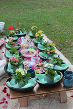 Fairy Garden Workshop Sept 20th 11am