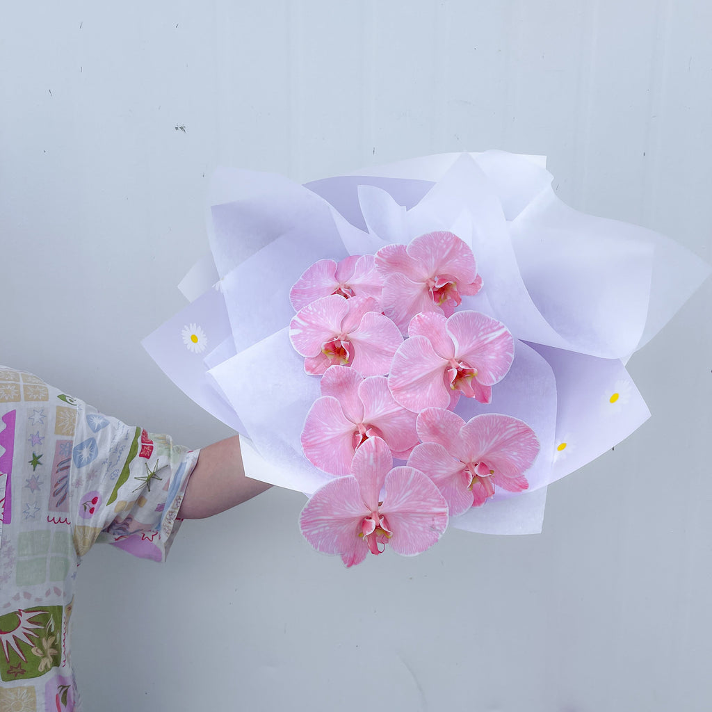 SPECIAL Phalenopsis Stem