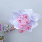 SPECIAL Phalenopsis Stem