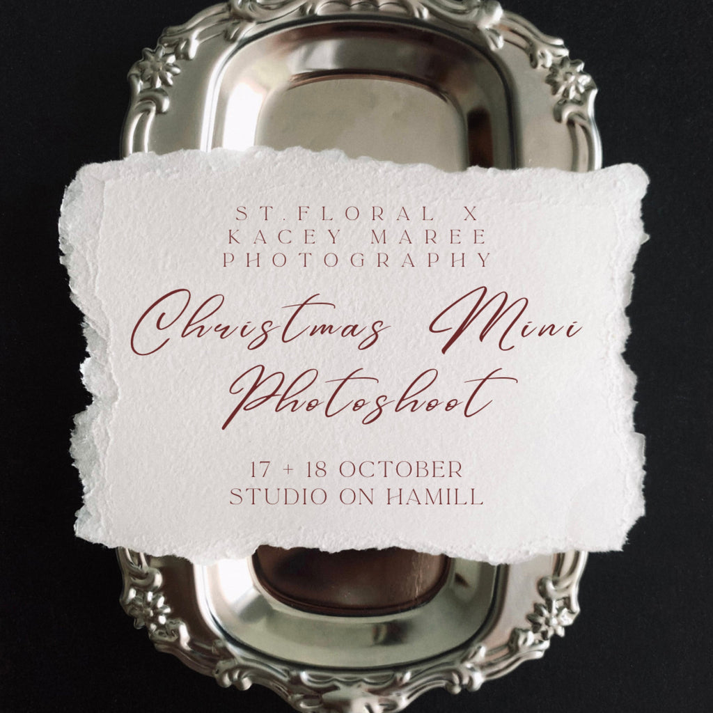Christmas Mini Photoshoot 18th Oct