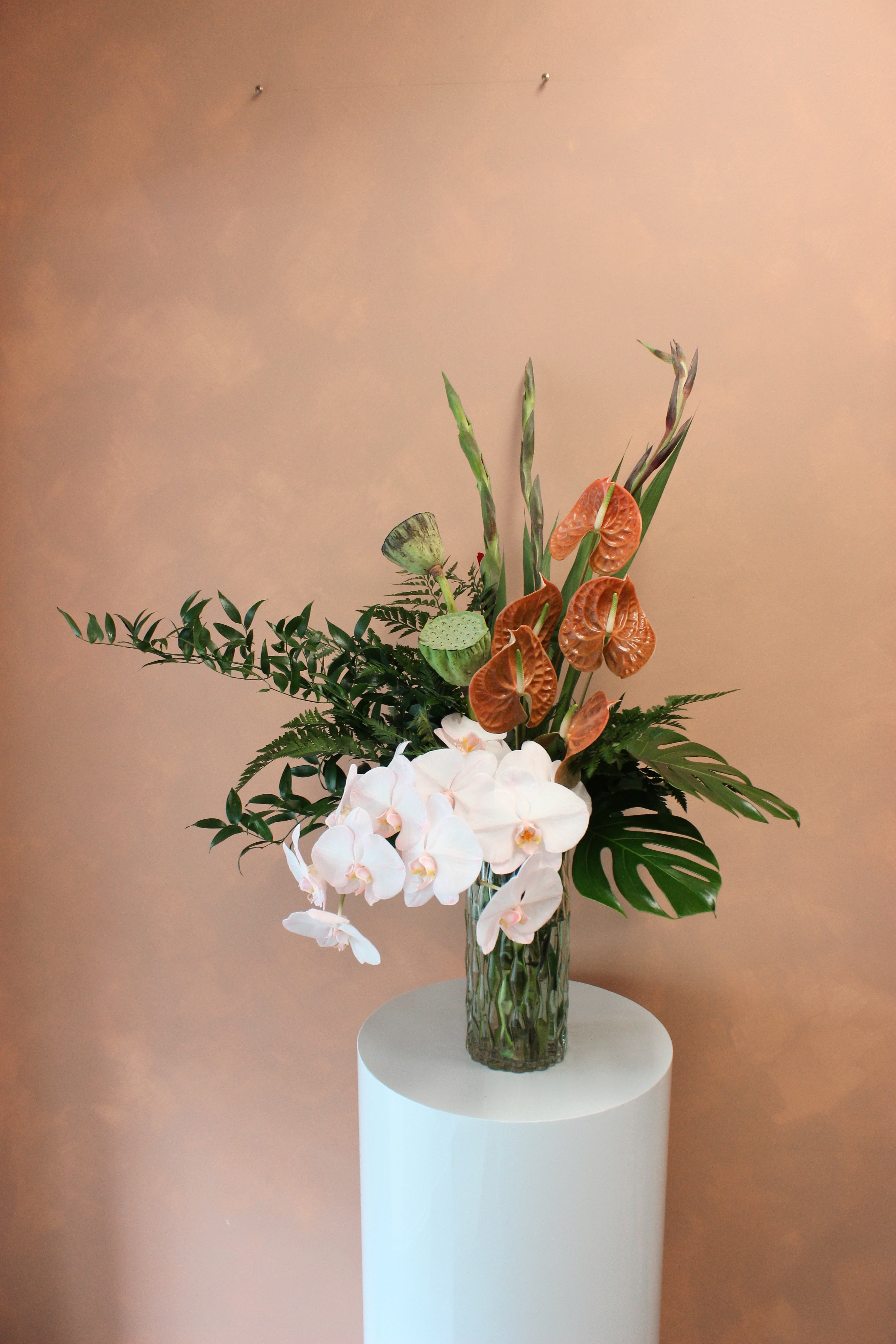 Corporate Phalaenopsis Elegance