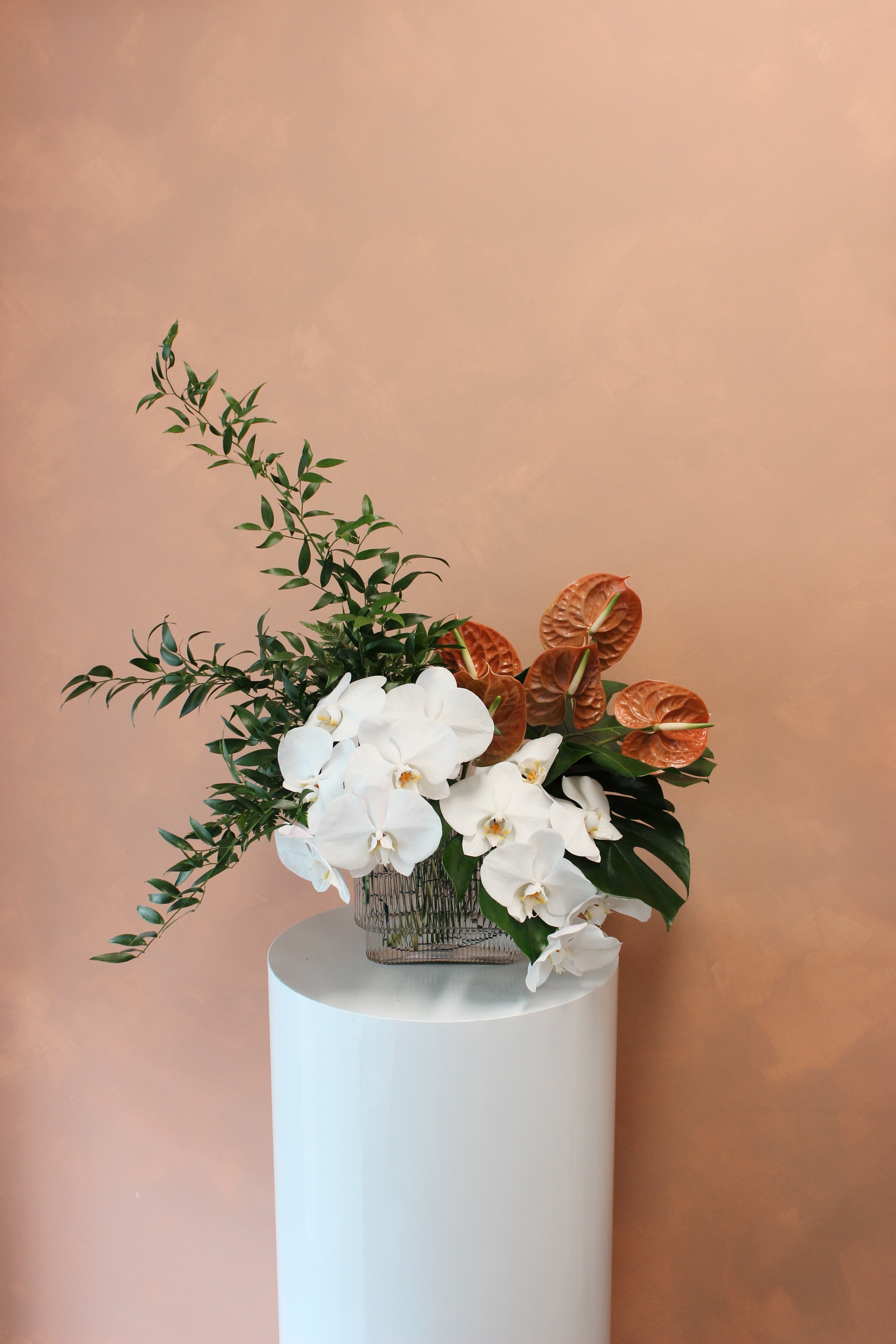 Corporate Phalaenopsis Elegance