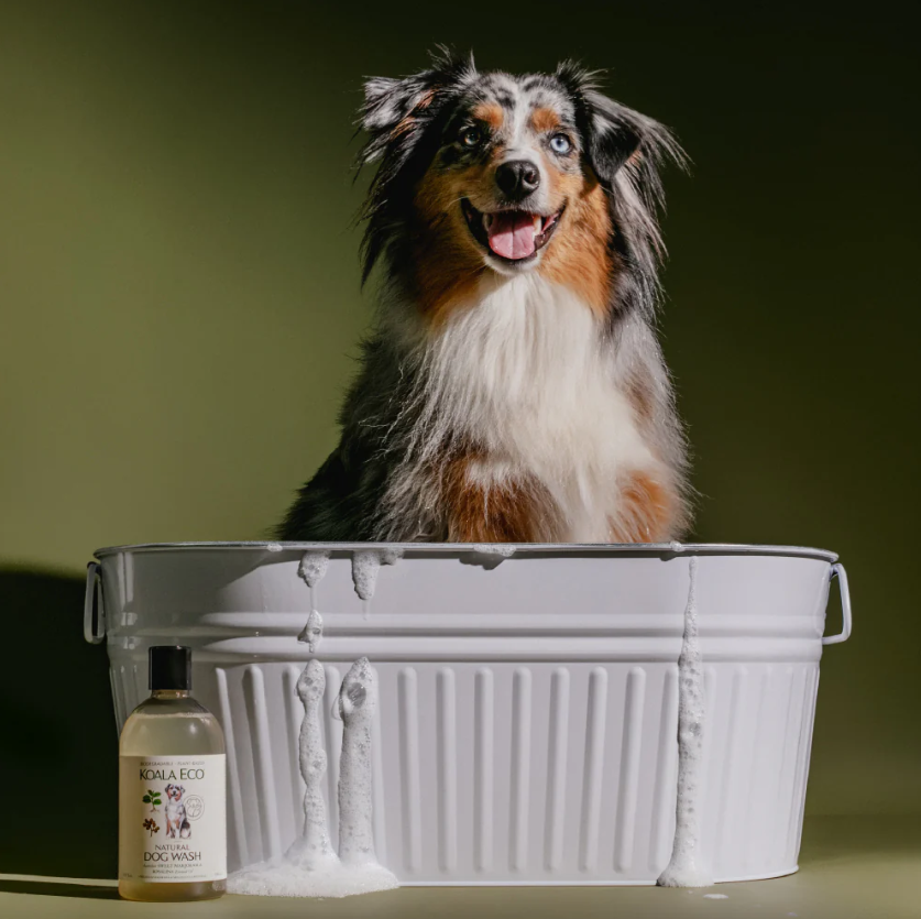 Dog Wash - Koala Eco