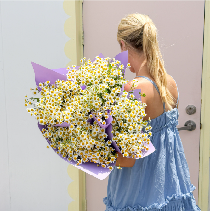 Chamomile Market Bunch