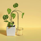Self-Watering Plant Climber