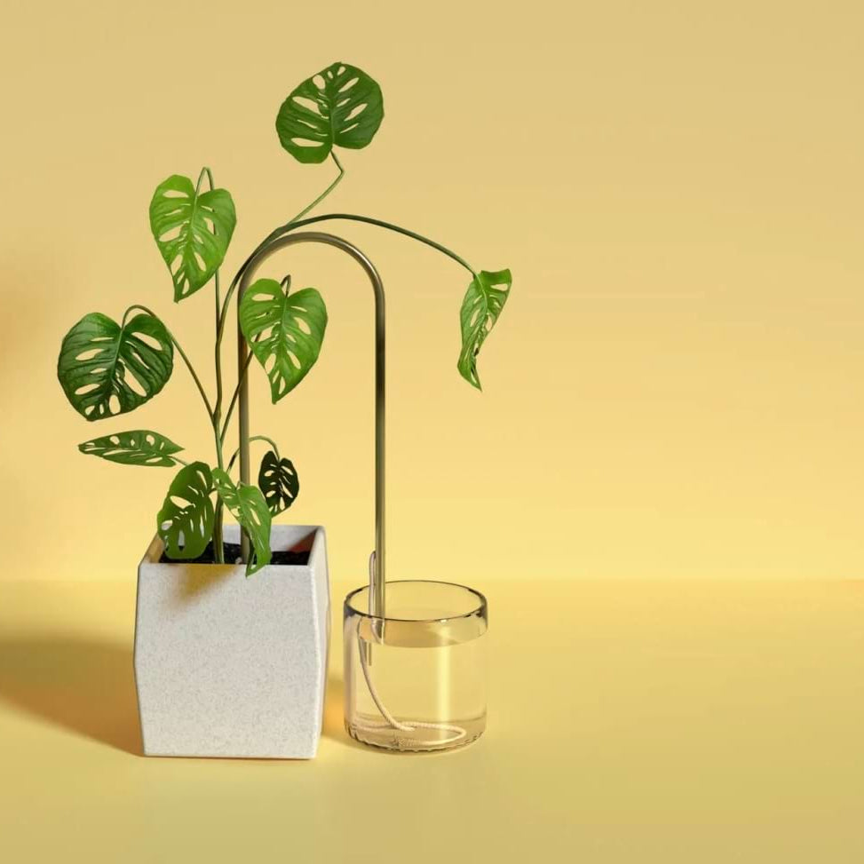 Self-Watering Plant Climber