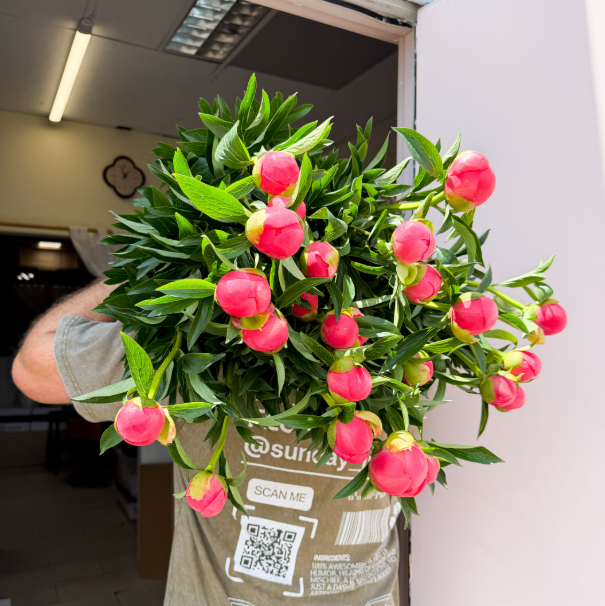 Peony Bunch