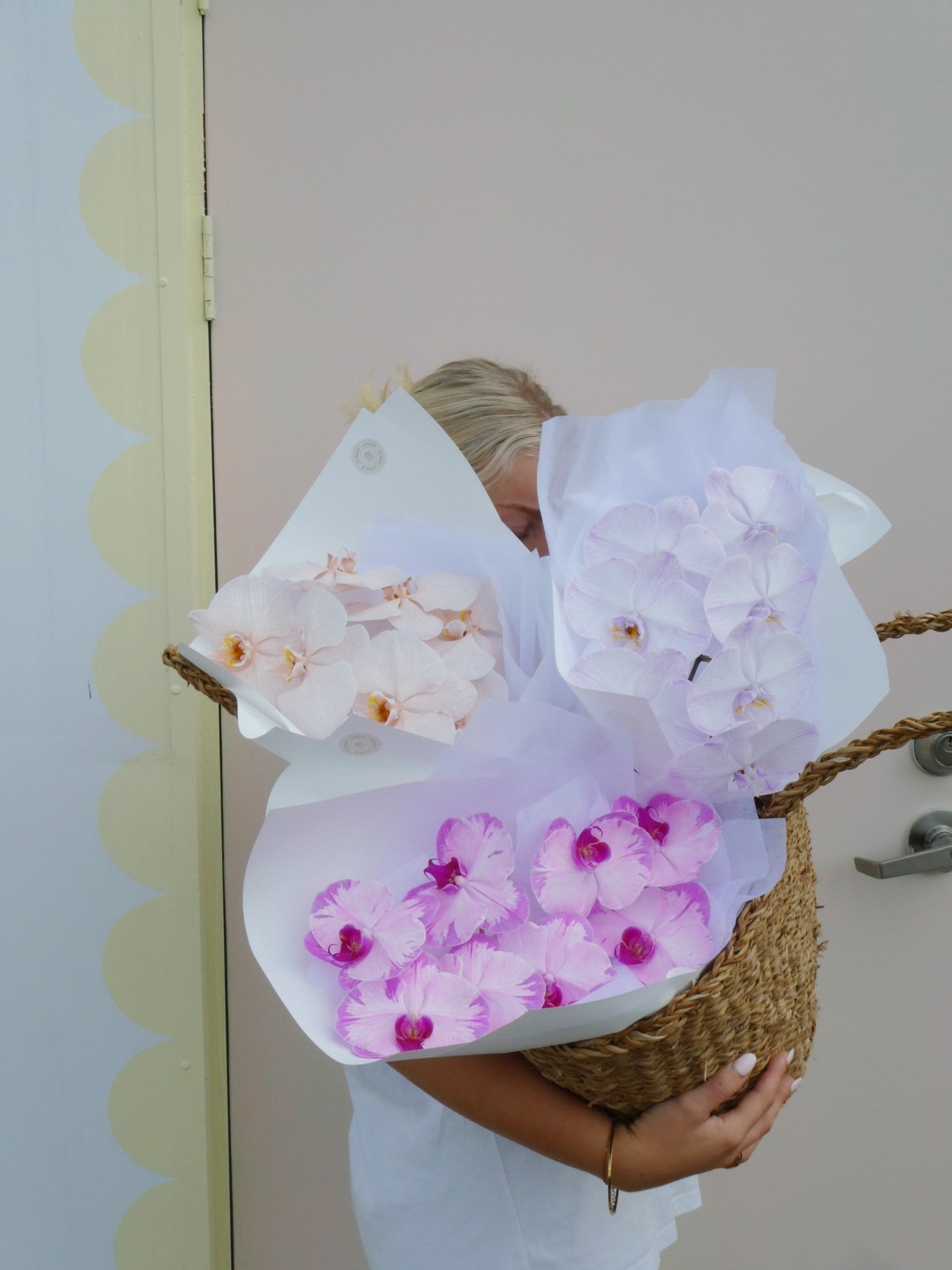 SPECIAL Phalenopsis Stem