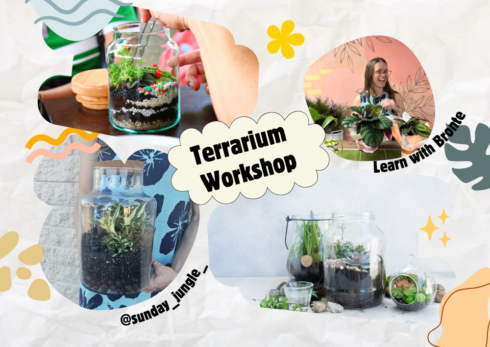 Terrarium Workshop